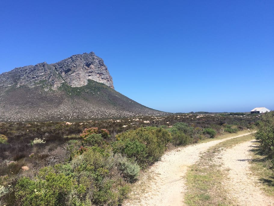 Driveway into the 60 acre private land along the coastline