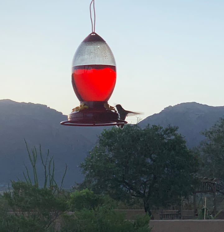 Top 18 Airbnb Vacation Rentals In & Near White Sands, New Mexico Updated 2024 Trip101