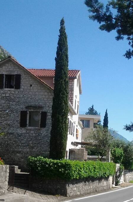 Vila Ljuta