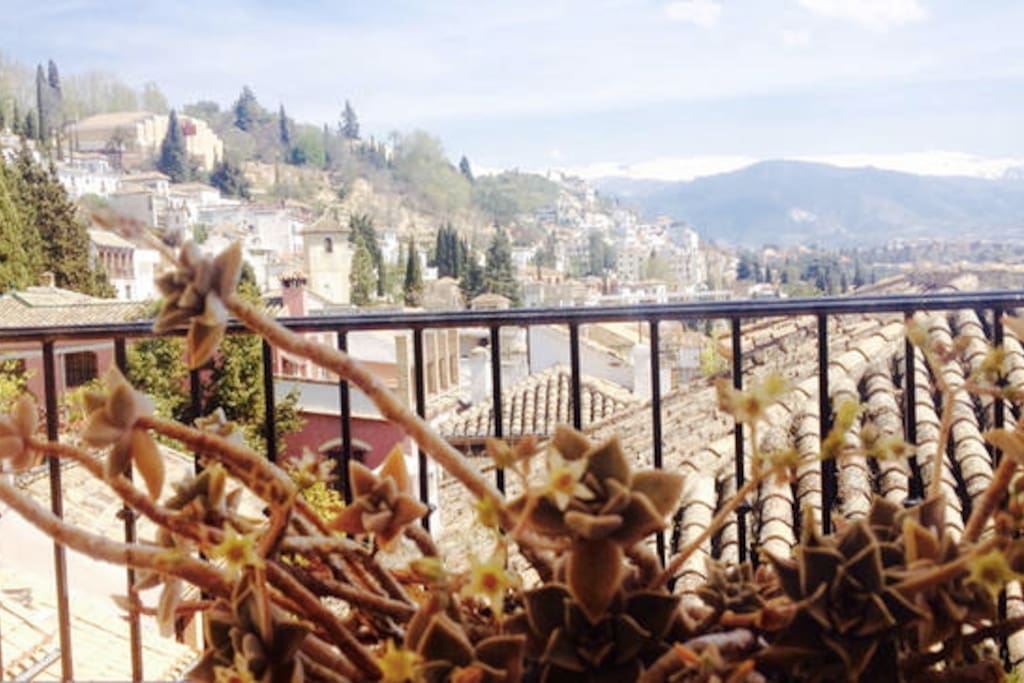 Vistas desde terraza privada