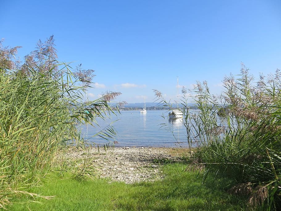 Privatzugang zum See direkt vom Grundstück