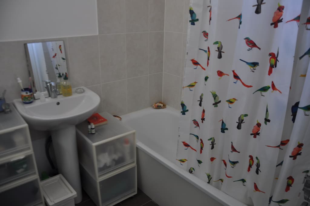 the bathroom