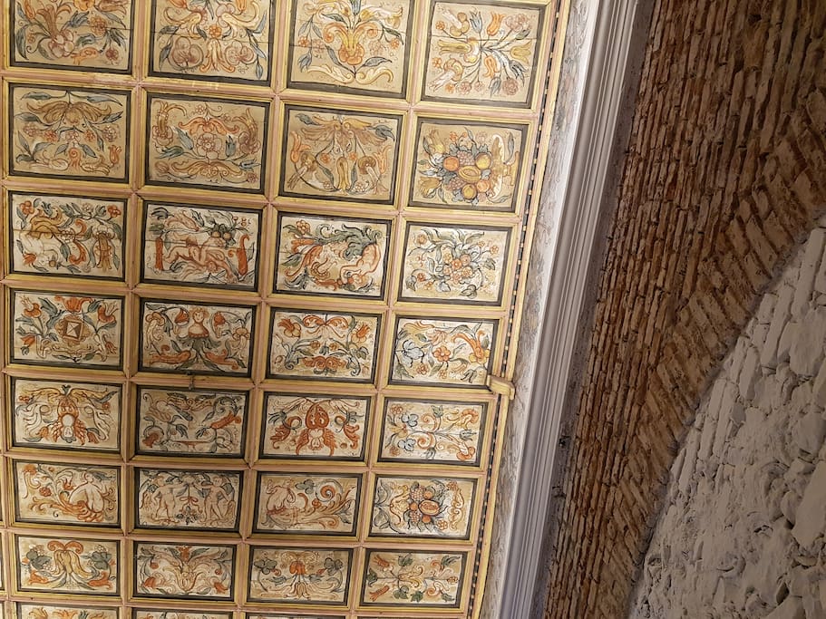 one of the historical ceilings view from your vertical position..