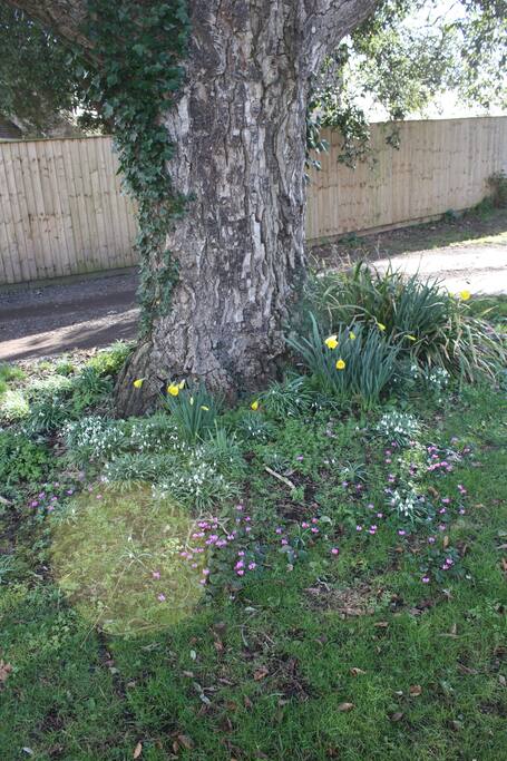 Enjoy the gardens