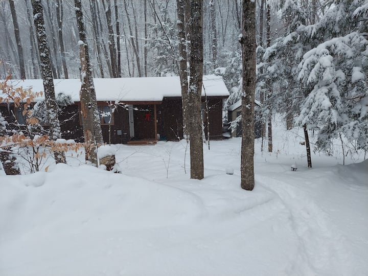 Crooked Lake Vacation Rentals & Homes Michigan, United States Airbnb