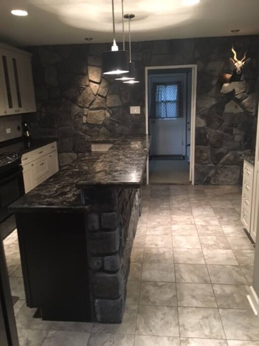Upscale renovated kitchen