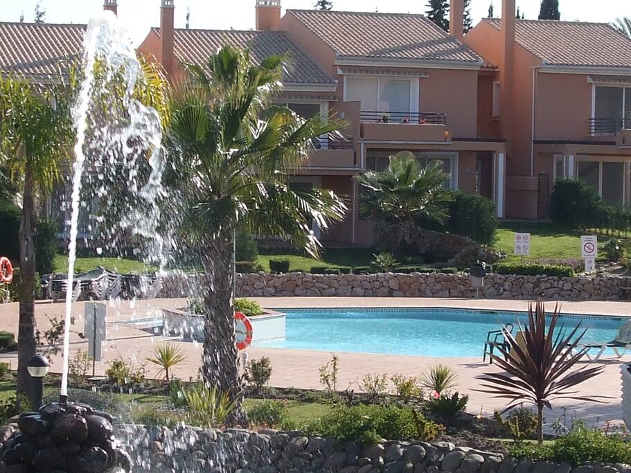 garden and pool