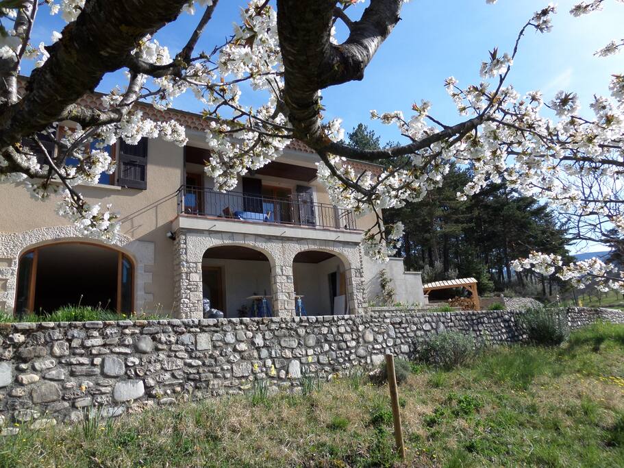 la Belle Etoile au Printemps (cerisier en fleurs)