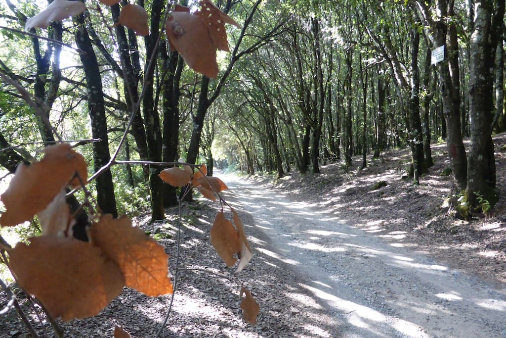 From September onwards the trails of San Benedetto will lead you to new horizons....