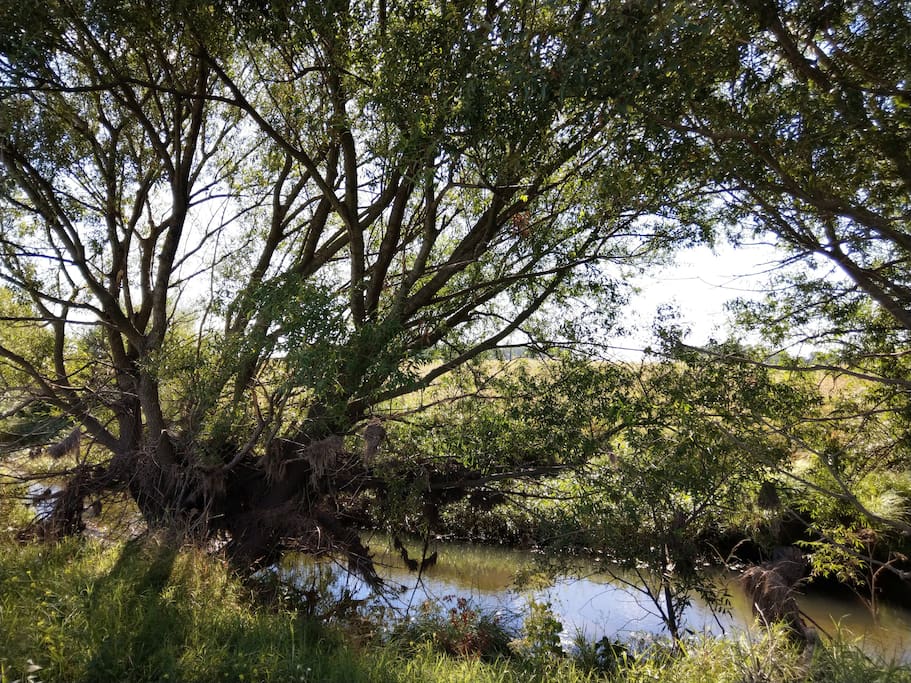 Pesca en el arroyo.