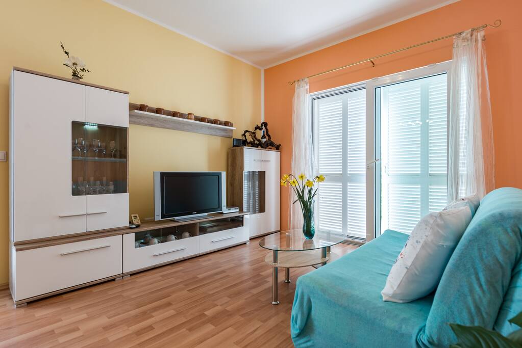 Large living room with tv, fireplace and sofa bed.