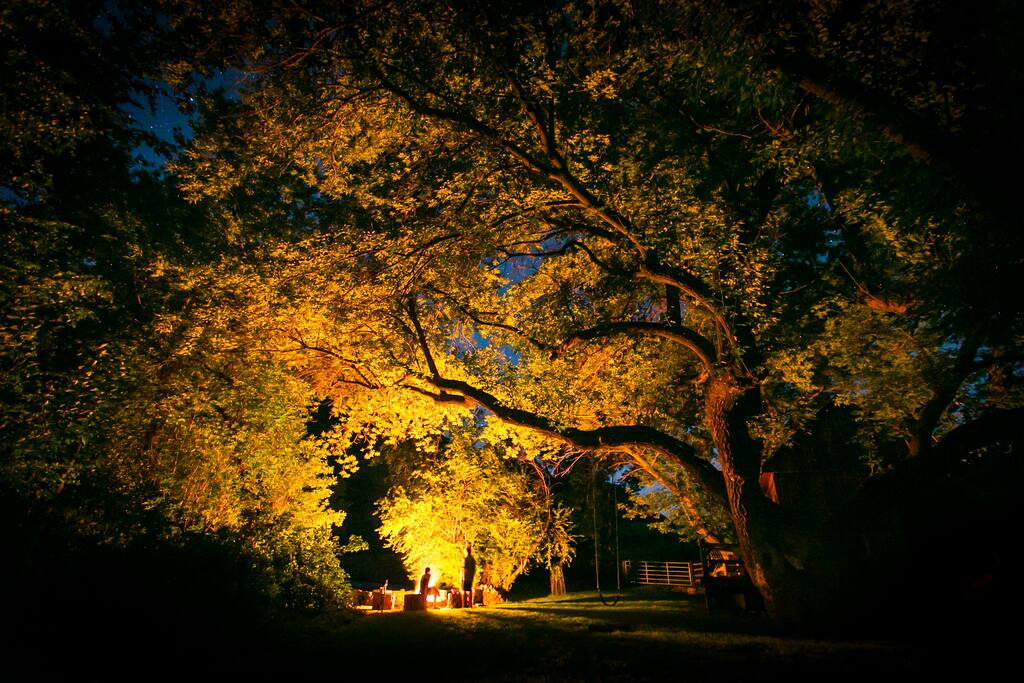 Fire-pit at night