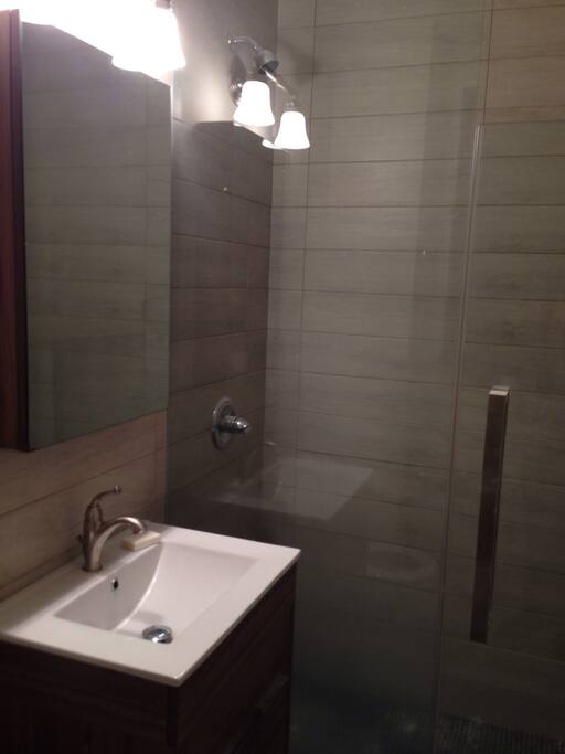 Newly Renovated Bathroom & Shower