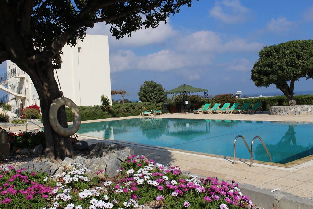 Large communal pool adjacant to the apartment