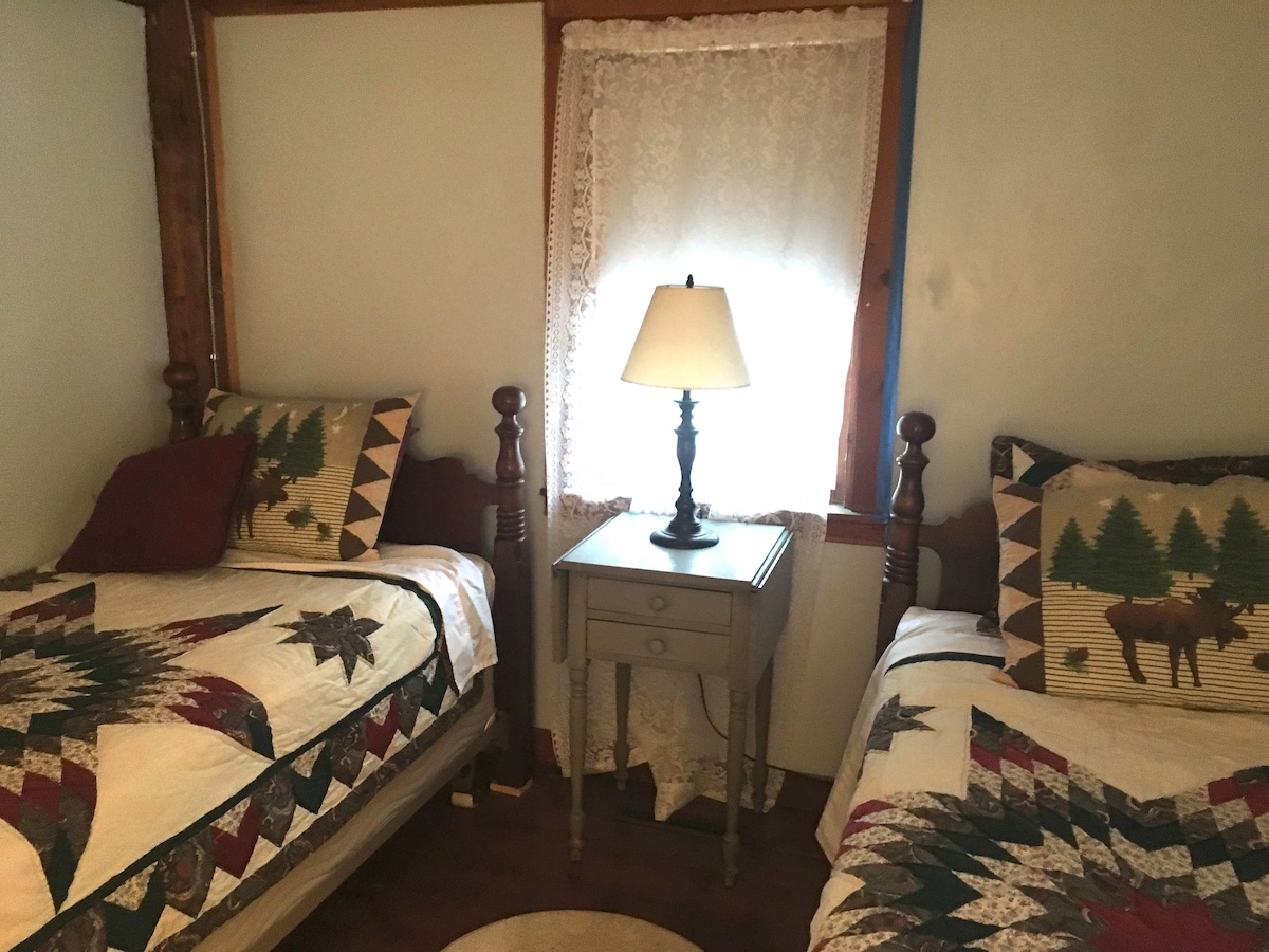 A quaint bedroom features two twin beds adorned with patterned quilts, showcasing rustic designs. A small nightstand with a lamp is placed between the beds, adding a touch of warmth. Natural light filters through a lace-curtained window, creating a cozy atmosphere.