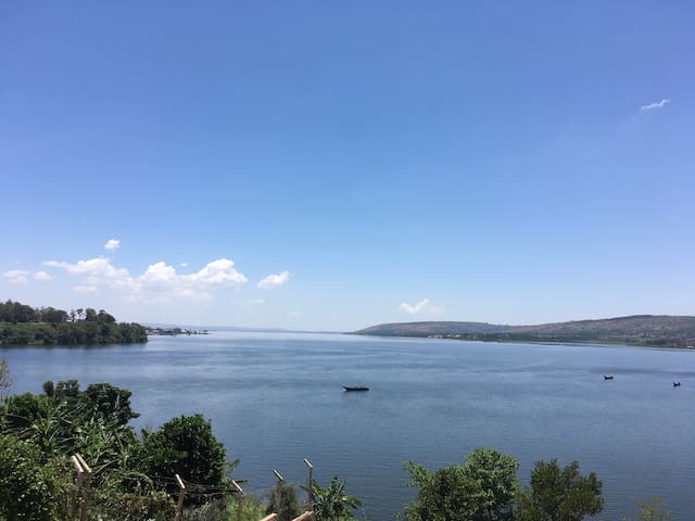 The Lake House