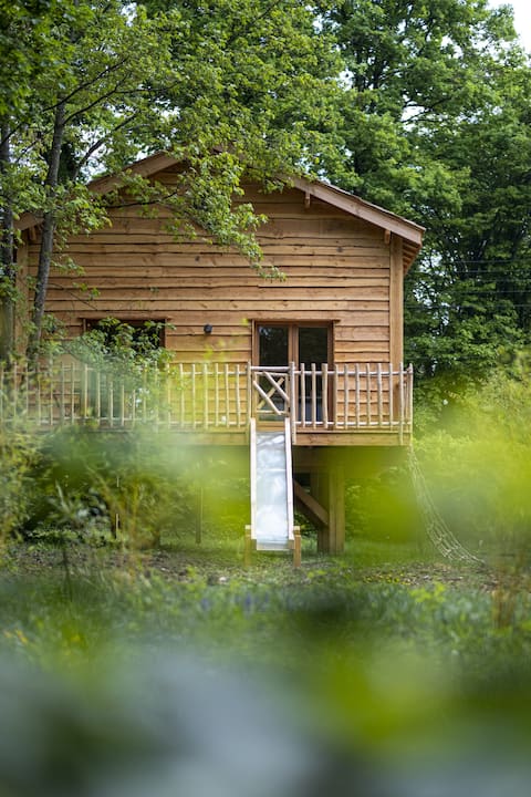 Charlie's World - The Fun-Nid Cabin