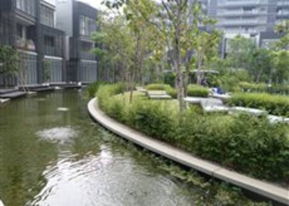 The Surrounding
