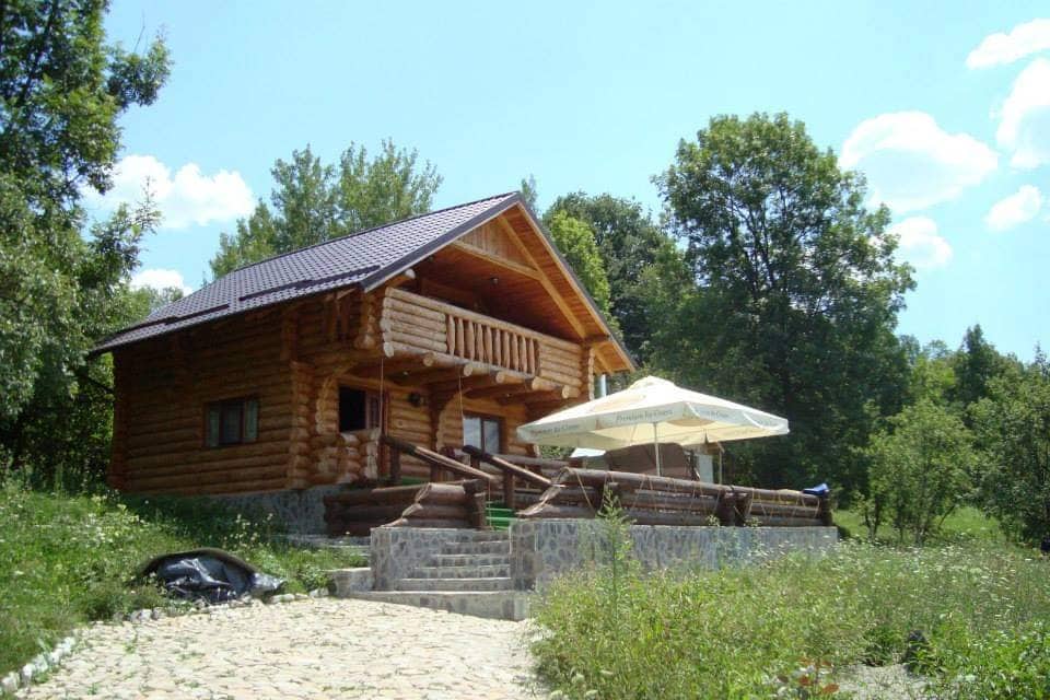 A charming log cabin is set among lush greenery, surrounded by trees. A spacious patio with a large umbrella provides shaded seating, while stone steps lead up to the entrance. The clear blue sky enhances the serene atmosphere of the outdoor area.