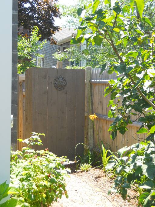 Amazing outdoor shower