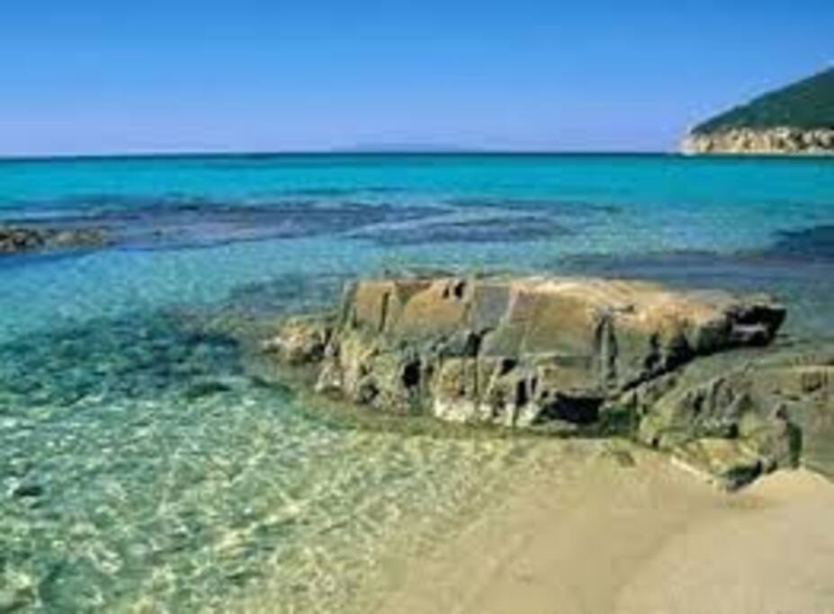 CALA CIVETTE
Il nostro agriturismo si trova a pochi minuti dalla splendida Cala Civette, una delle spiagge più incontaminate e selvagge della zona, dominata da Torre Civette, una torre bianca che domina il promontorio, da cui prende il nome. Sabbia chiara, acqua cristallina, nella cornice della macchia mediterranea. Meno affollata della vicina Cala Violina