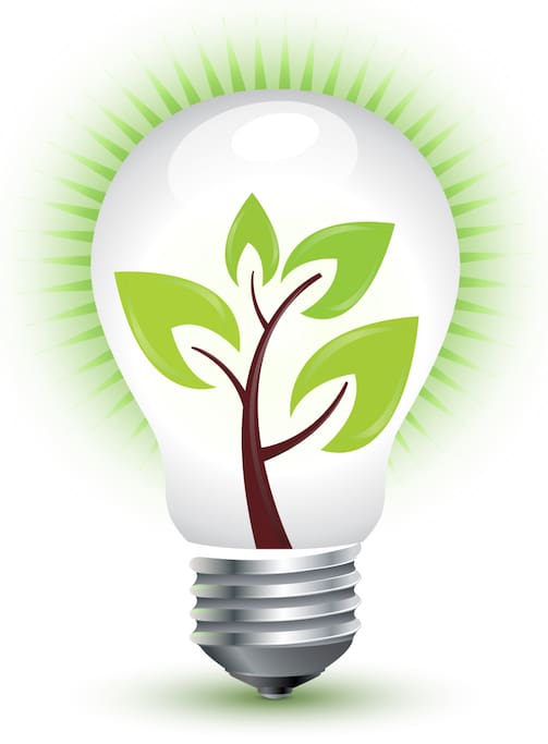 100% of our electricity is from renewable sources