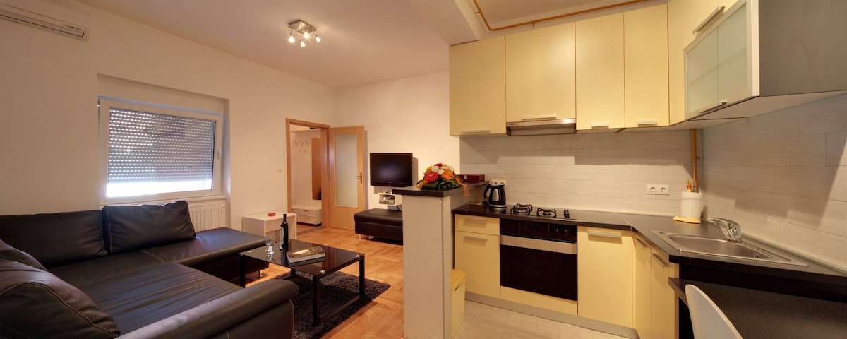 The kitchen area, featuring light-colored cabinets and modern appliances, is open to the living space. A dark sectional sofa complements the warm wood flooring. Natural light filters through a window with a mesh cover, illuminating a television and dining area within the apartment.
