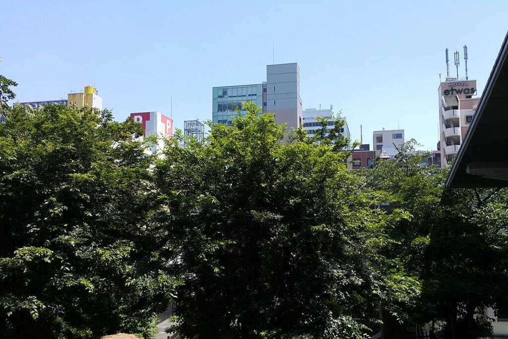 View from balcony