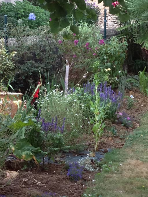Jardin