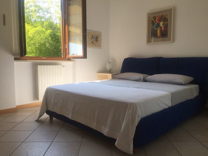 إطلالة على منتزه 