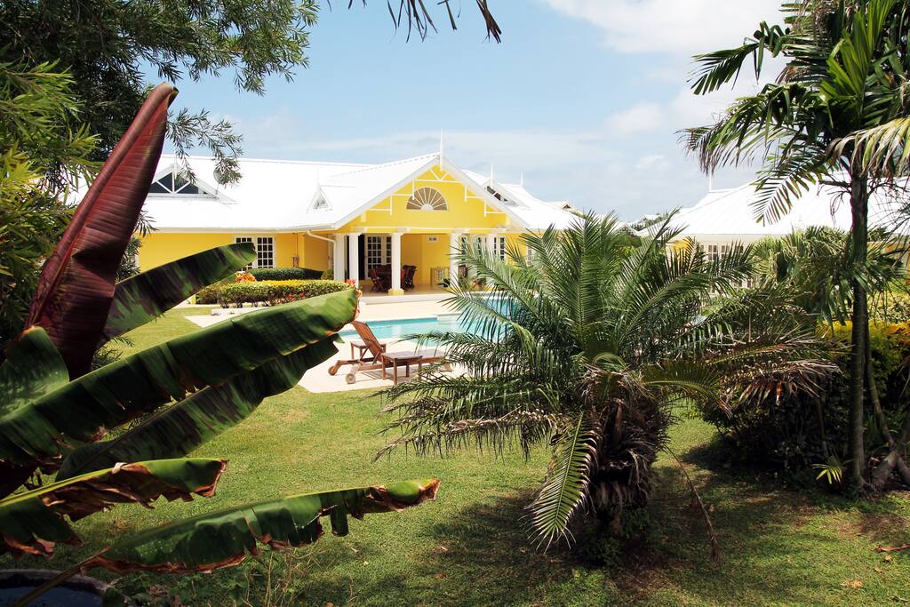 A hidden gem amongst tropical flora and fauna