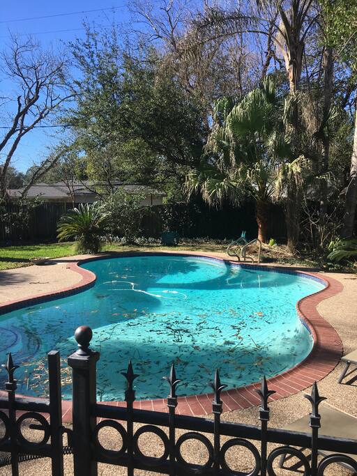Beautiful pool!