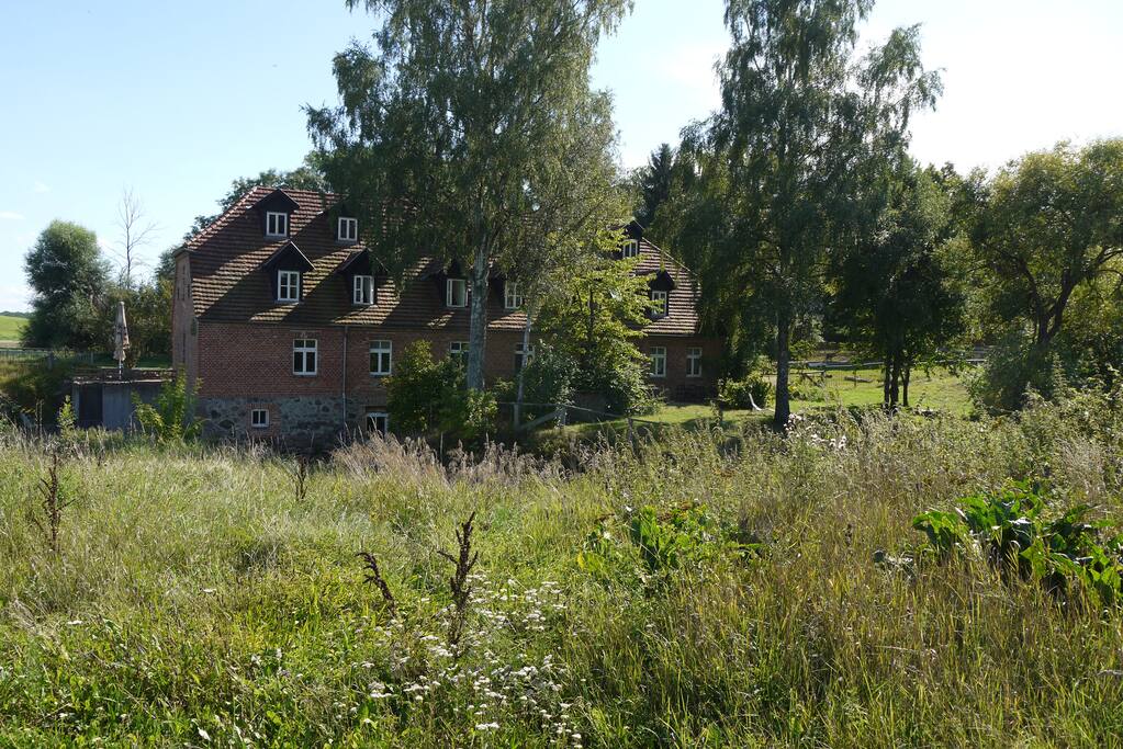 Rückseite der Mühle
