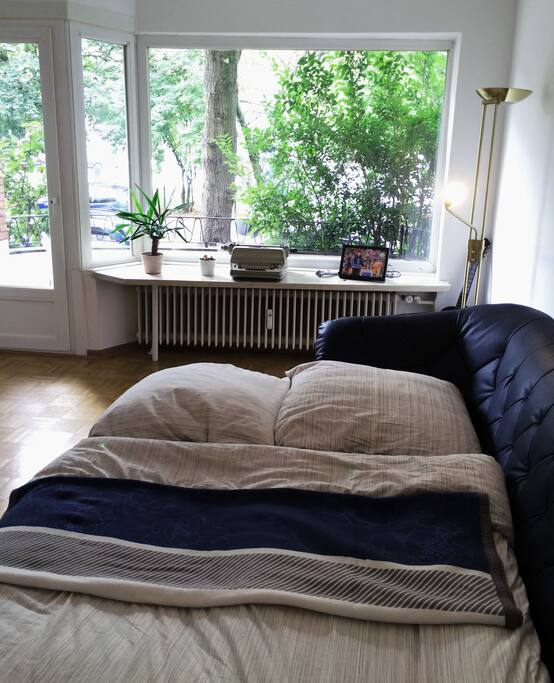 Your enormous couch again!
