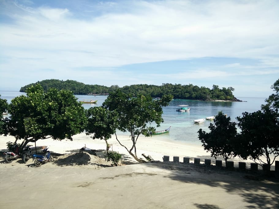 View from Verandah
