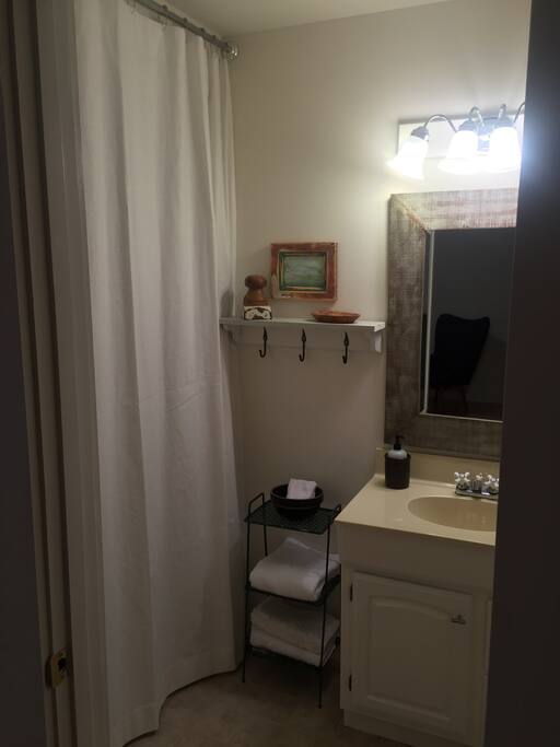 Downstairs Master private Bathroom - walk -in shower. Very nice and clean!