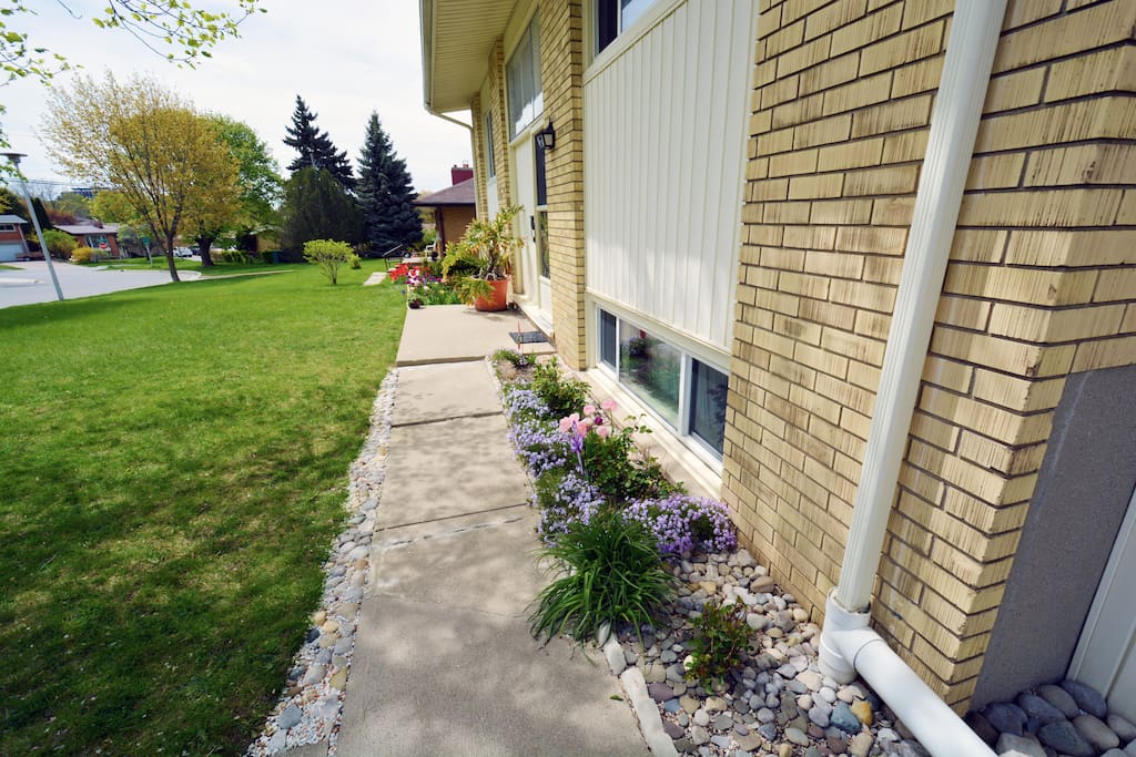 Front yard