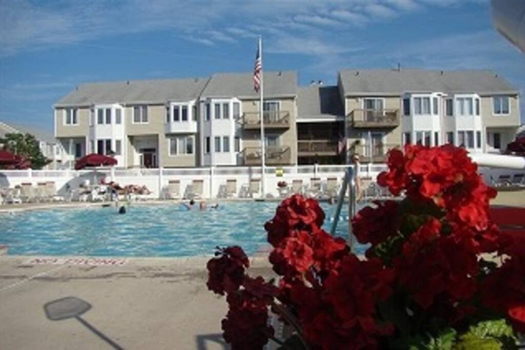 Pool view