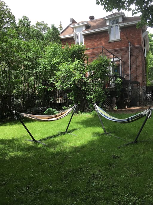 Perfect daydreaming spots in two hammocks in the backyard under a very large beautiful mapple tree.