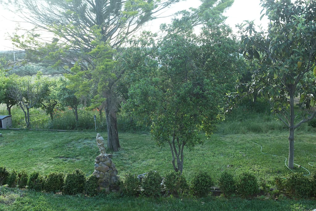 Jardim
