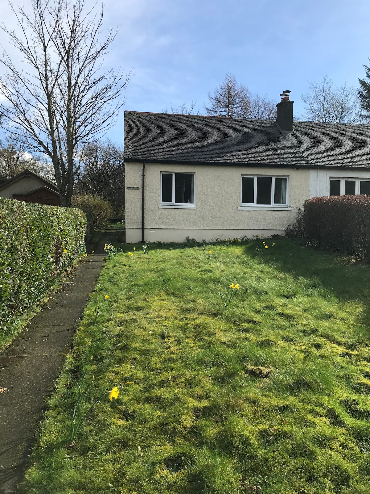 isle of mull holiday cottages dog friendly