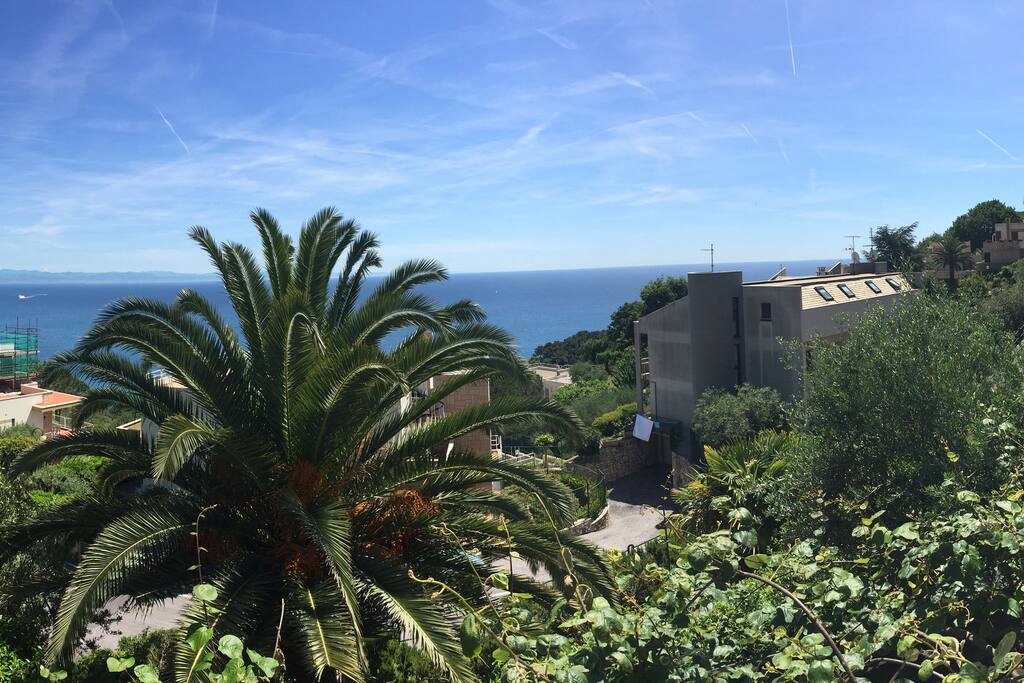 Fronte mare