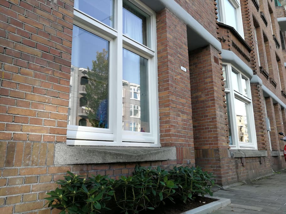 Little garden in front of window