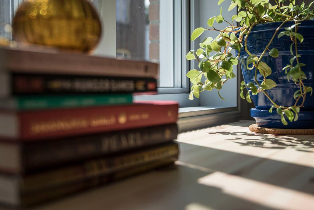 Livres «Donnez au suivant» / Books «Pay it forward»
