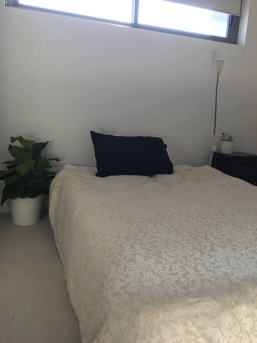 Huge Queen bedroom