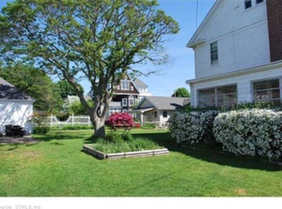 Side Yard