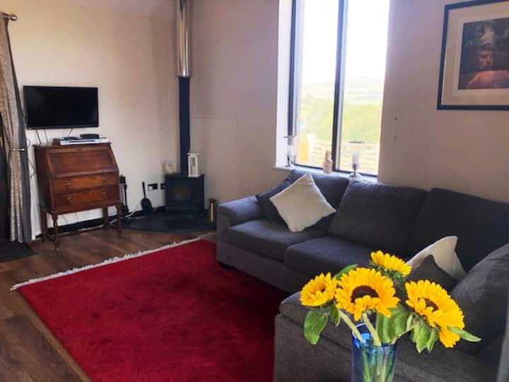 Stunning Dartmoor Views, Spacious Barn, Tavistock - Tavistock