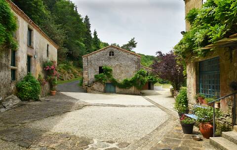 Rare. 160 m2 near Puy du Fou, 6/9 pers.