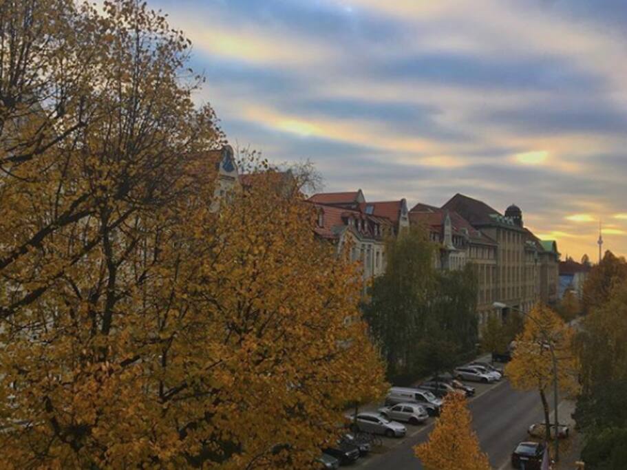 View from room