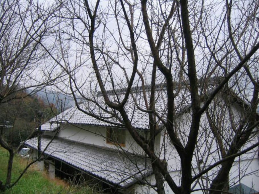 Very old style japanese house 『Yururiya』.